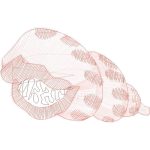 Nautical Design SI3438