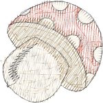 Mushroom Children Design SI0999