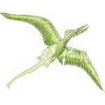 Pterodactyl Design SI0276