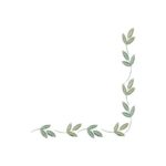Olive Leaves