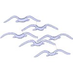 Seagulls Design EA20088