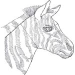 Zebra Design EA20101