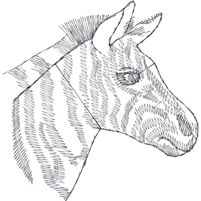 Zebra Design EA20101 - Image 1