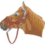 Horse Design EA20162