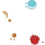 Planets Design EA24074