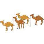Camels Design EA20177