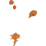 Seashells Design EA21734