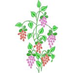 Grapes Design EA21955