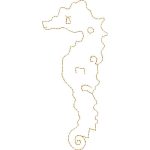 Seahorse Design EA21743