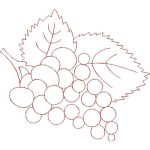 Grapes Design EA21975