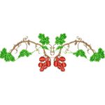 Grapes Design EA22524