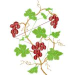 Grapes Design EA21976