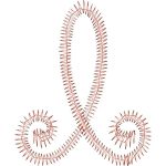 Home embroidery Design EA22527