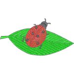 Ladybug Design EA23023