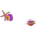 Seashells Design EA21761