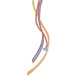 Unisex Design EA24145