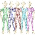 People Design EA24155