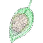 Ladybug Design EA23028