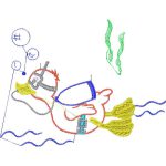 Scuba Duck Design EA20863