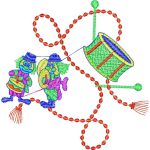 Clowns Design EA20870