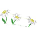 Flowers Design EA22641