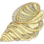 Seashell Design EA21772