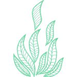 Leaves Design EA24204