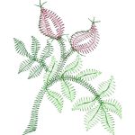 Flower Design EA22100