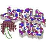 Jungle Life Design EA24416