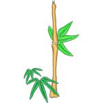 Bamboo Design EA22190