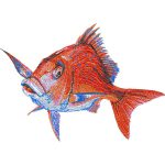 Fish Design EA21805