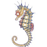 Seahorse Design EA21809