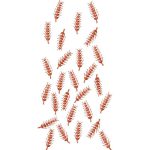 Flower Design EA22215