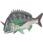 Fish Design EA21811