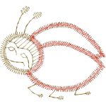 Ladybug Design EA23046