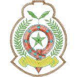 Emblem Design EA22796