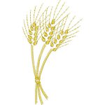 Wheat Design EA22811