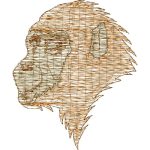 Ape Design EA20372