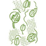 Leaves Design EA24296