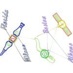 Watches Design EA24304