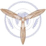 Airplane Design EA24648