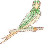 Parrot Design EA20388