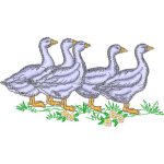 Ducks Design EA20406