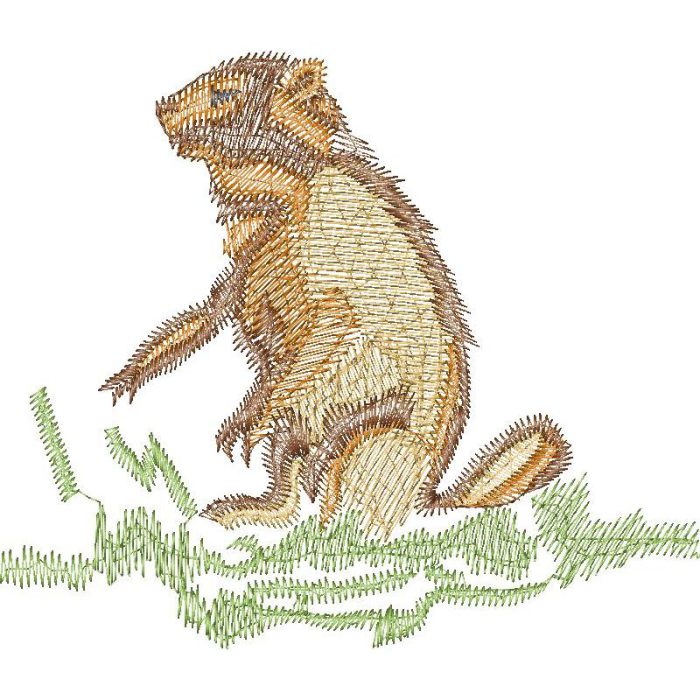 Beaver Design EA20413 - Image 1
