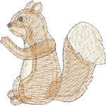 Squirrel Design EA20416
