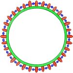 Various Design EA24669