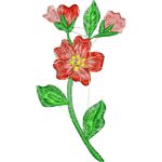 Flowers Design EA22965