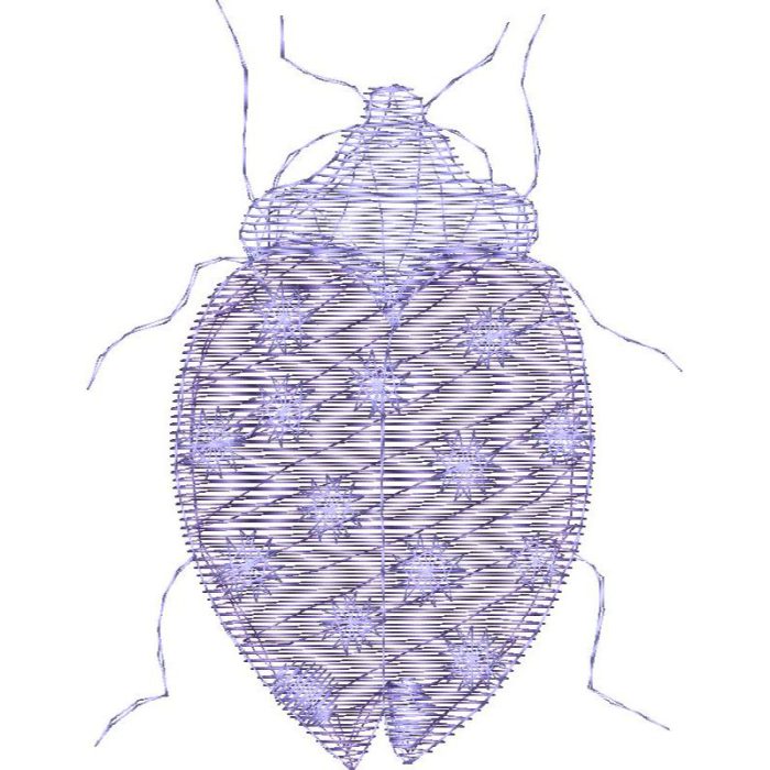 Beetle Design EA23061 - Image 1