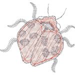 Ladybug Design EA23065