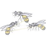 Bees Design EA23066